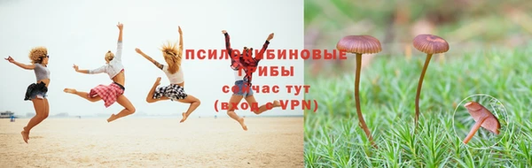 мескалин Белокуриха