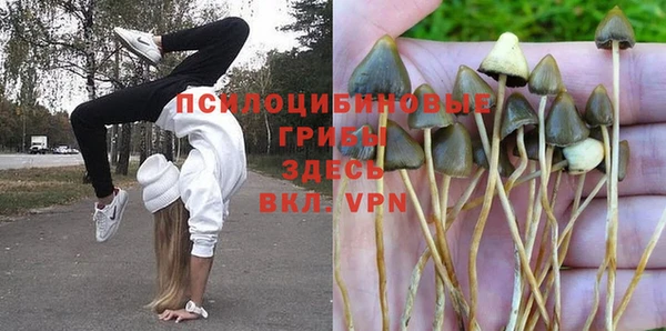 мескалин Белокуриха